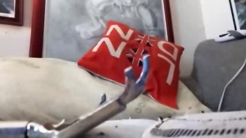 Marty online show from 02-22-26, 09:24