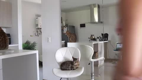 insta Laupalacio777Next stream 01th December online show from 02-23-25, 06:12