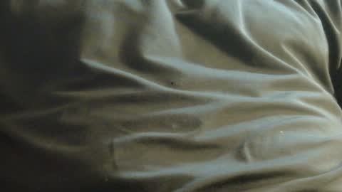 Snapshot of hamhead71 chatting on 12-08-24, 10:03 hamhead71 online show from 12-08-24, 10:03