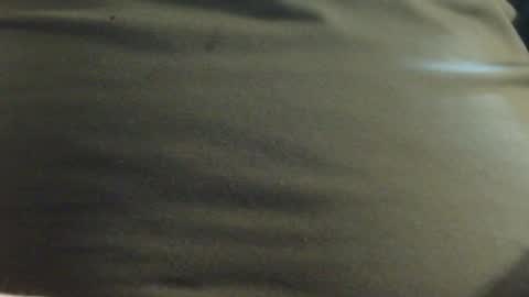 Snapshot of hamhead71 chatting on 01-23-25, 12:52 hamhead71 online show from 01-23-25, 12:52