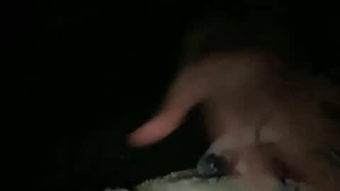 relax online show from 03-23-26, 03:32