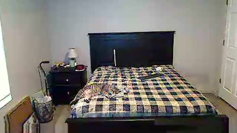 Snapshot of hammerthatthang73 chatting on 05-17-26, 11:28 hammerthatthang73 online show from 05-17-26, 11:28