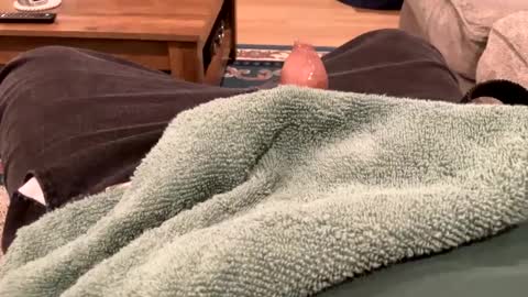 Snapshot of handhugger chatting on 12-27-24, 08:28 handhugger online show from 12-27-24, 08:28