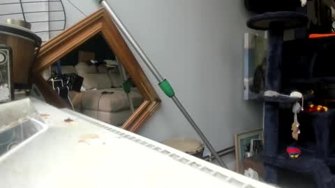 handncocknocum online show from 02-04-25, 11:16