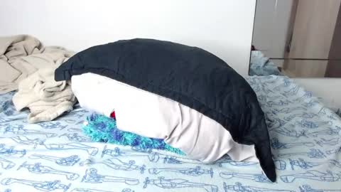 Snapshot of handsome_white1 chatting on 01-14-25, 01:06 jorge daniel online show from 01-14-25, 01:06