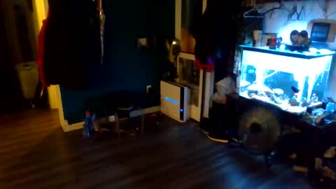 Snapshot of handsomerob42 chatting on 05-18-26, 06:25 handsomerob42 online show from 05-18-26, 06:25