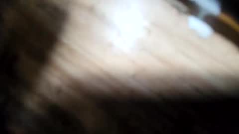 handymanglen online show from 02-13-26, 11:01