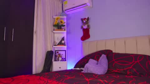 Snapshot of hanna_chris chatting on 12-27-24, 10:48 HANNA online show from 12-27-24, 10:48