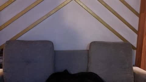 ANA online show from 11-22-25, 12:04