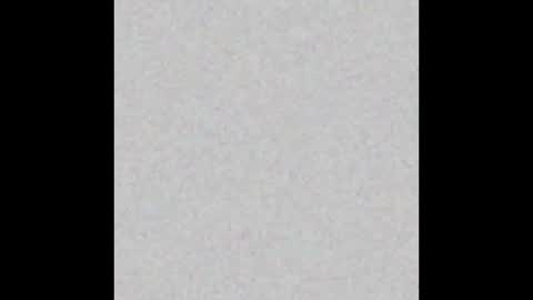 HappyAlice online show from 11-17-25, 11:54