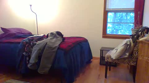 Snapshot of har5 chatting on 12-01-25, 10:26 Hardy-Har online show from 12-01-25, 10:26