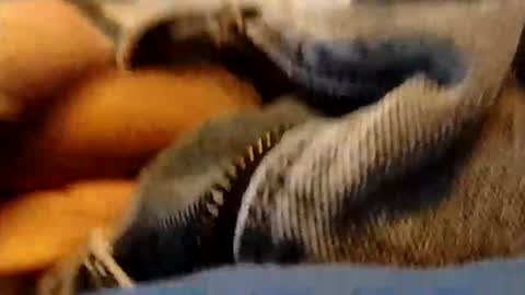 Snapshot of hardandhorny422 chatting on 01-15-26, 03:49 hardandhorny422 online show from 01-15-26, 03:49