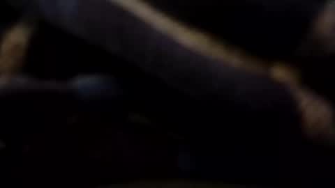 Snapshot of hardandhorny422 chatting on 05-09-26, 07:30 hardandhorny422 online show from 05-09-26, 07:30