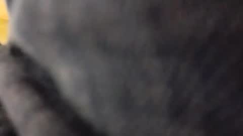 Snapshot of hardandhorny422 chatting on 05-10-26, 05:18 hardandhorny422 online show from 05-10-26, 05:18