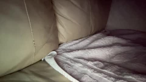 Snapshot of hardcock2622 chatting on 12-20-24, 07:44 Slim West Cox online show from 12-20-24, 07:44