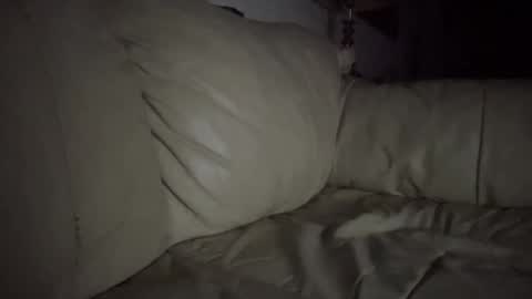 Snapshot of hardcock2622 chatting on 02-19-25, 07:28 Slim West Cox online show from 02-19-25, 07:28