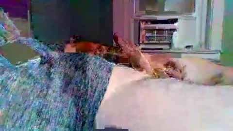 Snapshot of hardcockoncam22 chatting on 11-03-25, 02:02 cervixpainter25 online show from 11-03-25, 02:02