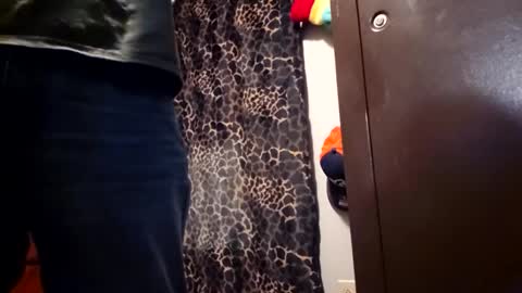 Funsize online show from 02-08-26, 02:59