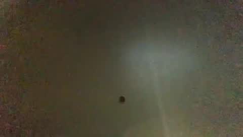 For You online show from 01-26-25, 02:56