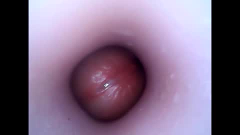 Snapshot of hardhammerboy chatting on 12-26-24, 07:49 hardhammerboy online show from 12-26-24, 07:49