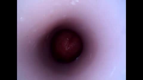 Snapshot of hardhammerboy chatting on 12-29-24, 08:26 hardhammerboy online show from 12-29-24, 08:26