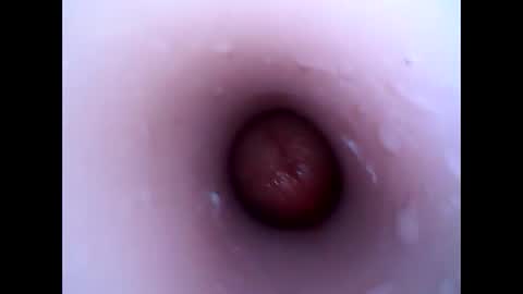 Snapshot of hardhammerboy chatting on 12-30-24, 04:08 hardhammerboy online show from 12-30-24, 04:08