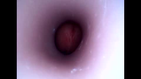 Snapshot of hardhammerboy chatting on 01-01-25, 08:26 hardhammerboy online show from 01-01-25, 08:26