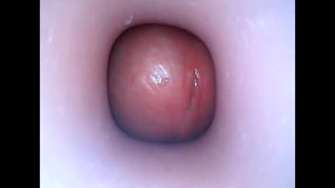 Snapshot of hardhammerboy chatting on 01-06-25, 06:31 hardhammerboy online show from 01-06-25, 06:31