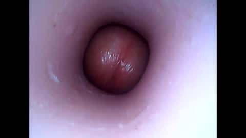 Snapshot of hardhammerboy chatting on 01-08-25, 09:12 hardhammerboy online show from 01-08-25, 09:12