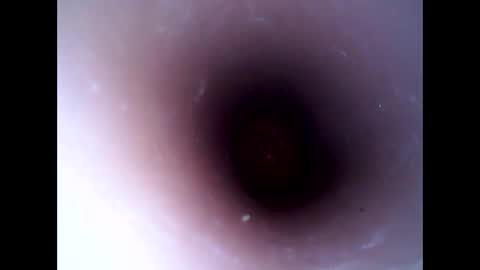 Snapshot of hardhammerboy chatting on 01-10-25, 05:45 hardhammerboy online show from 01-10-25, 05:45