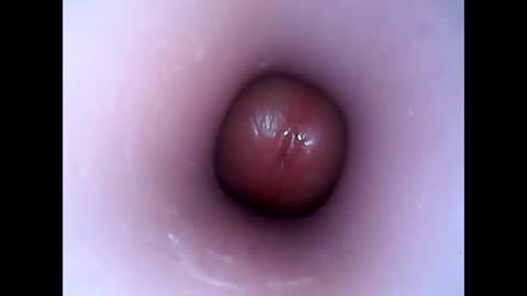 Snapshot of hardhammerboy chatting on 01-12-25, 07:53 hardhammerboy online show from 01-12-25, 07:53