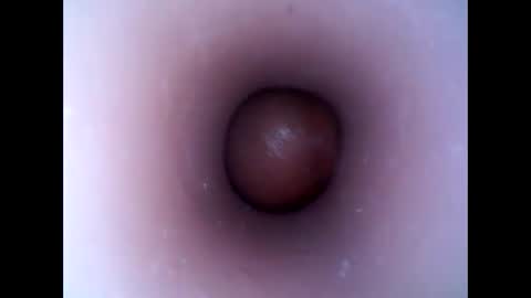 Snapshot of hardhammerboy chatting on 01-13-25, 05:44 hardhammerboy online show from 01-13-25, 05:44