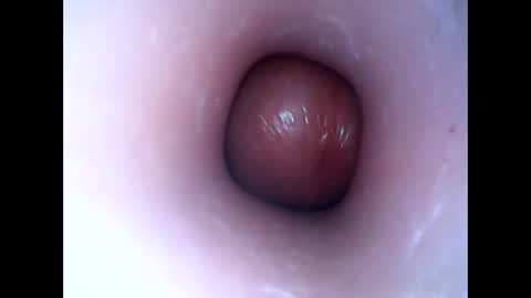 Snapshot of hardhammerboy chatting on 01-16-25, 08:03 hardhammerboy online show from 01-16-25, 08:03