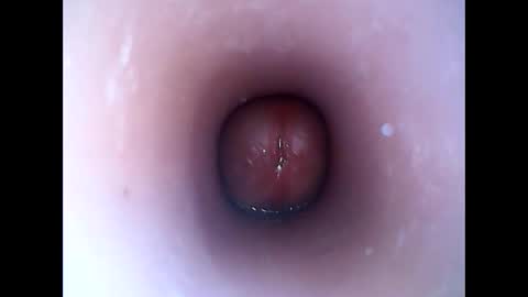 Snapshot of hardhammerboy chatting on 01-19-25, 08:19 hardhammerboy online show from 01-19-25, 08:19