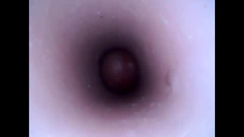 Snapshot of hardhammerboy chatting on 01-20-25, 03:28 hardhammerboy online show from 01-20-25, 03:28