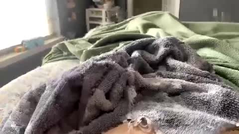 hardnthickm55 online show from 02-14-25, 06:51