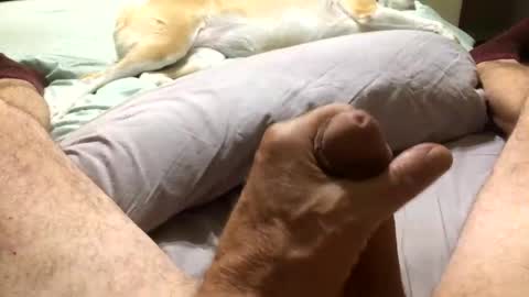 Snapshot of harleycpl chatting on 11-11-25, 01:16 Harley99 online show from 11-11-25, 01:16