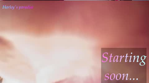 Snapshot of harleyparadise chatting on 02-14-26, 07:27 900 am to 300 pm - GTM 5 Weekdays online show from 02-14-26, 07:27