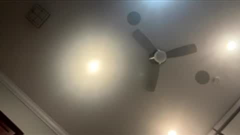 Snapshot of harleywestxox chatting on 05-20-26, 08:42 Harleywest 638 online show from 05-20-26, 08:42