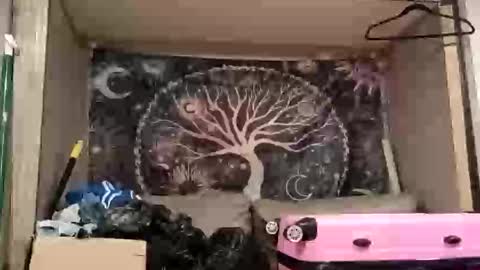 harlleymiller673 online show from 10-17-25, 03:20