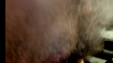 Snapshot of harry_banana chatting on 01-17-25, 10:56 harry_banana online show from 01-17-25, 10:56