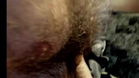 Snapshot of harry_banana chatting on 02-10-25, 10:40 harry_banana online show from 02-10-25, 10:40