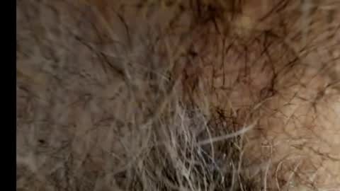 Snapshot of harry_banana chatting on 02-21-25, 08:40 harry_banana online show from 02-21-25, 08:40