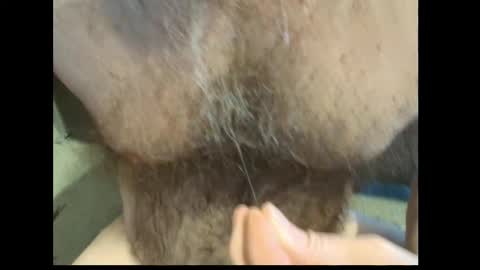 harry_banana online show from 02-27-26, 01:44