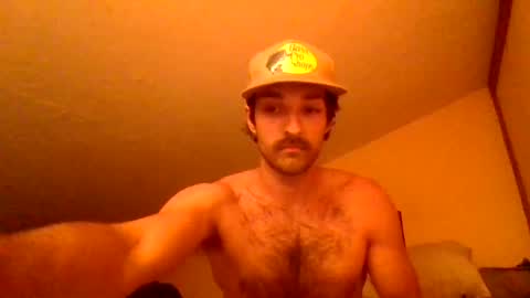 Snapshot of harrycheeks chatting on 06-29-26, 06:41 harrycheeks online show from 06-29-26, 06:41