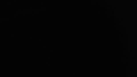 Nicole online show from 12-20-24, 03:58