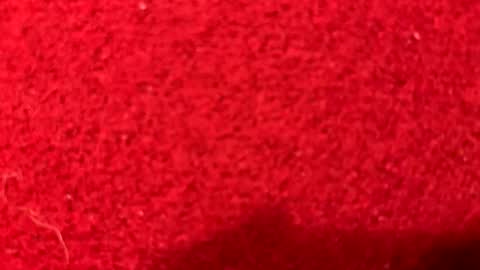 haufd online show from 05-02-26, 12:59