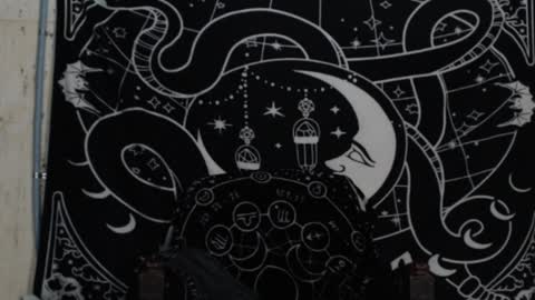 Hayle Woods online show from 12-04-24, 02:42