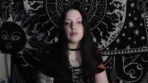 Hayle Woods online show from 12-06-24, 02:24