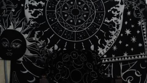 Hayle Woods online show from 12-07-24, 03:04